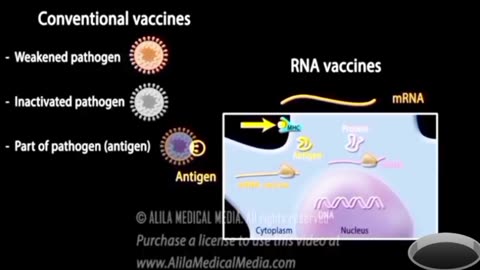 RNA Vaccine (mRNA Vaccine) Basis of Pfizer and Moderna COVID-19 vaccine, Animation