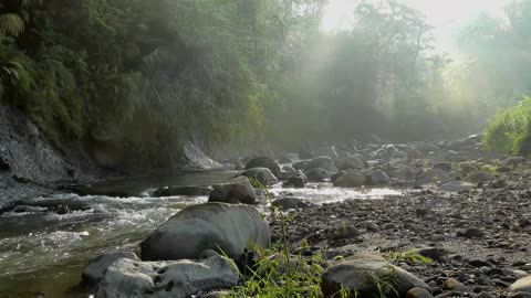 Beautiful Nature Videos (4K Video Ultra HD)