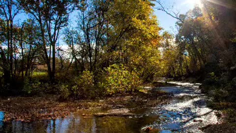 Cedar creek