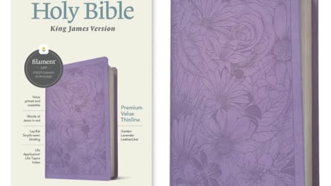 King James Version Premium Value Thinline Bible, Filament Enabled Edition Red Letter Edition