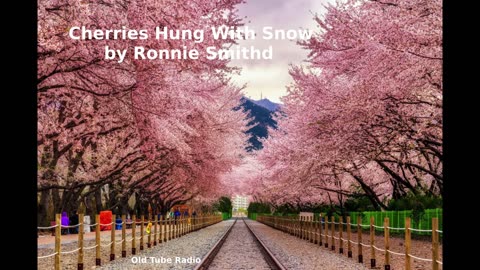 Cherries Hung With Snow by Ronnie Smith