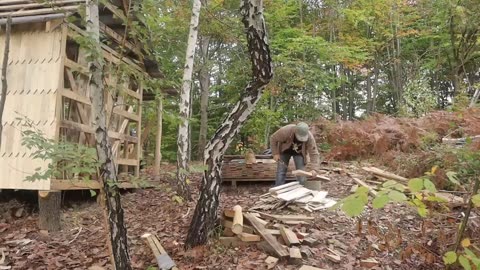 ⚒Building a house in the forest🌳Walls and roof completed🏡