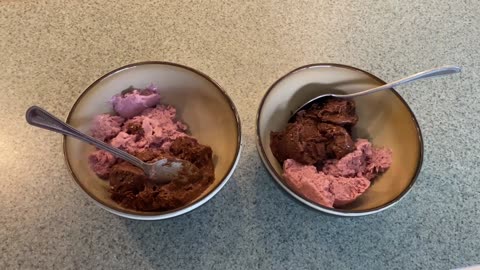 Strawberry & Chocolate Ice Cream (No Churn, Plant Based)