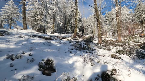 Hiking Trails At The Beautiful Xenia Lake. Viewpoint For Lunch