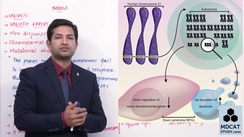 LEC#7 MEIOTIC ERRORS (NON-DISJUNCTION)