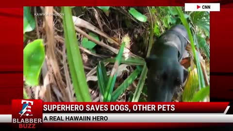 Superhero Saves Dogs, Other Pets