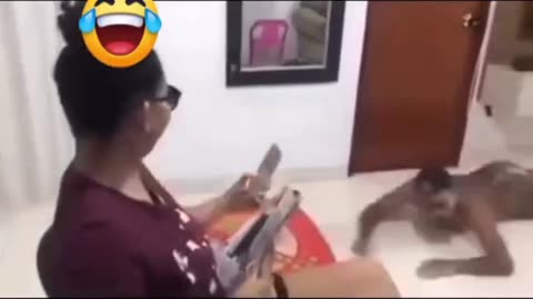 Funny video 😂😂