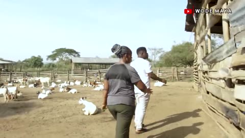 From a teacher to a successful goat farmer