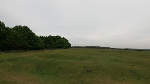 Drone footage Panning away shot. New forest