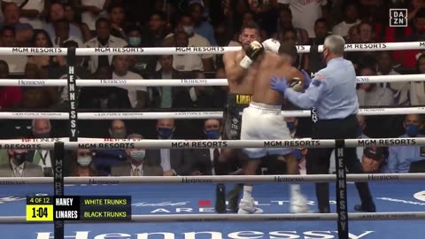 HIGHLIGHTS _ Devin Haney vs. Jorge Linares