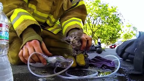 Kitty Trapped Under Burning House 🏠.........Rescued