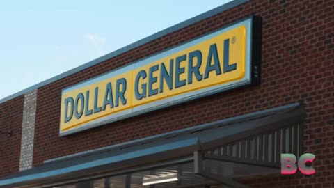 Dollar General shares crater 25% as retailer cuts outlook