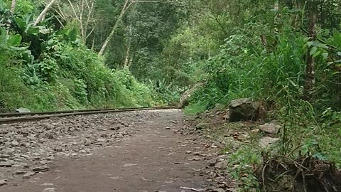 fantastic old diesel train in the middle of the jungle on the way to machu pichu