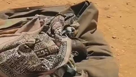 Continuano gli scontri in Sudan il bilancio sanguinoso e di 61 morti