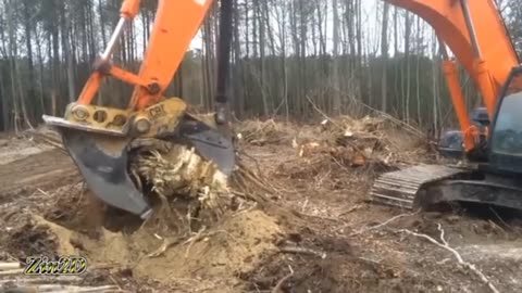 Tree cutting machine