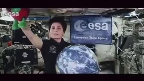 The International Fake Station (NASA)