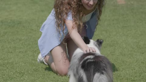 Dog Playing With Owner, Musat Watch