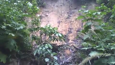 Filming a ravine in the park in forest, it looks like there was a landslide [Nature & Animals]