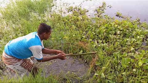 Amazing fishing video ✅✅