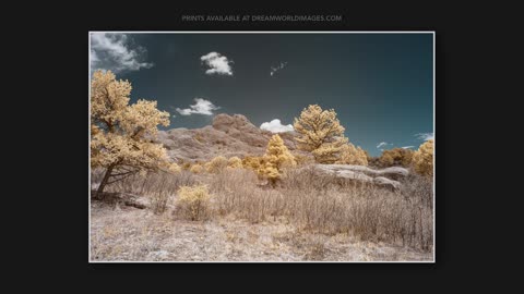 Capturing the Beauty of Eastern Colorado: Garden of the Gods, Rocky Mountain National Park, & Bison Ranch