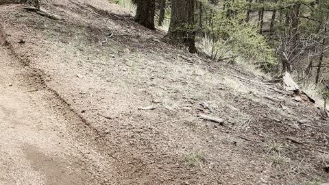 Motorcycle riding in Rainbow, Falls, Colorado