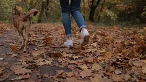 Woman with adorable dog jogging in autumn park