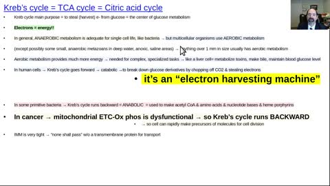 Kreb cycle, forward & reverse, normal & with cancer