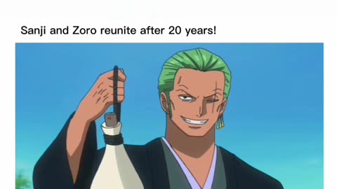 One piece Zoro and sanji