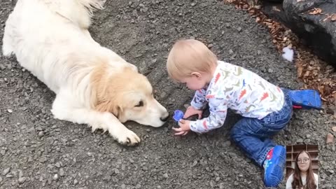 Adorable Babies Playing With Dogs Compilation - Funny Baby And Dog Videos -- Just Laugh