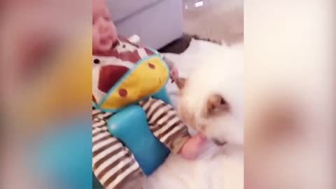 Baby And Cat Fun And Cute Video ## part 02 Funny Baby Videos.