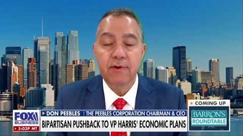 Harris presidency could lead to ‘serious financial crisis,’ expert warns