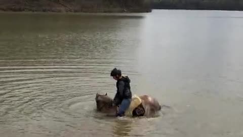 Horse decides to sit in lake during horseback riding session!!