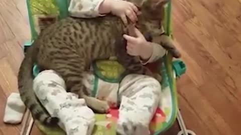 Kitten and Baby loving