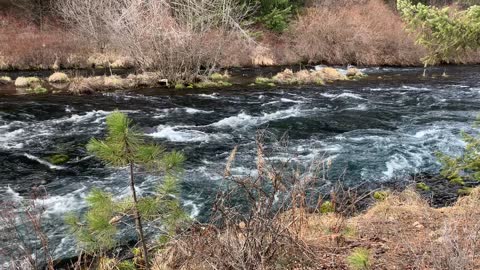 Beautiful Roaring Section Metolius River – Central Oregon