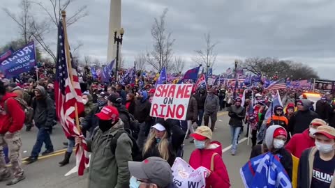 The Stop the Steal Rally in DC