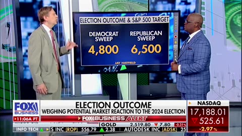 Investment Adviser CEO Explains How 'Democratic Sweep' In 2024 Election Would 'Hurt The Market'