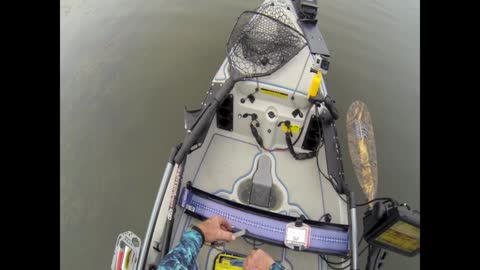 Catch Photo Release for Bass Tournaments, Lake Kennansville, FL