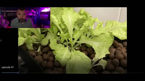 The Indoor Farmer EP. 1.