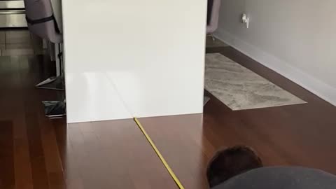 Measuring Cat's Crazy Long Jump