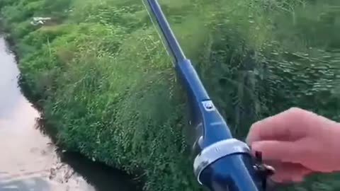 Portable Folding Fishing Pole with Reel