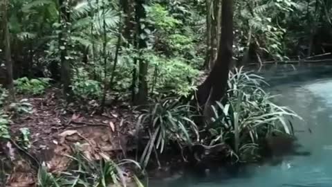 Bening nya kalibiru di raja ampat