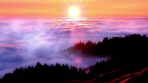 sunrise sea of clouds