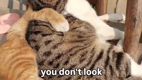 You don't look 😂😆