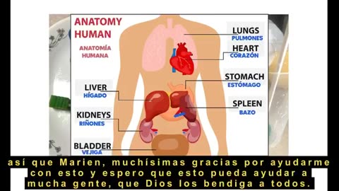 PROTOCOLO RIÑONES CON DMSO Y DIOXIDO DE CLORO PARA RECUERAR EL RIÑON