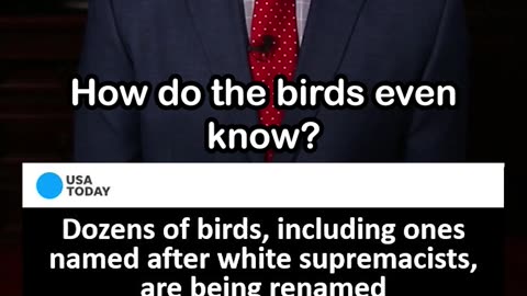 Scientists Rename Birds to Fight Racism