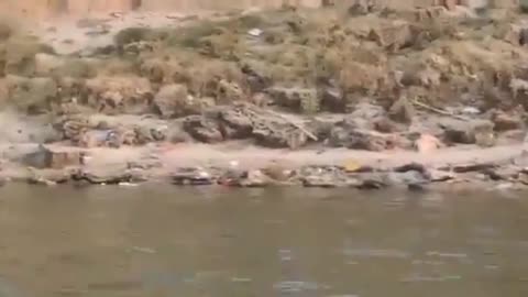 100's of dead bodies floating in the Ganges river of India. Covid