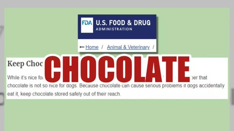 Fact Check: Milk Chocolate Is NOT 'Fine For Dogs' Compared To Dark Chocolate -- Both Toxic For Them