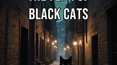 Understanding the Fear of Black Cats