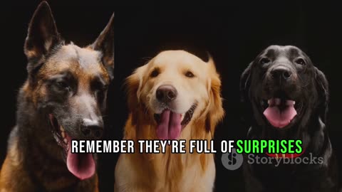 5 Amazing Facts About Dogs You Didn't Know!