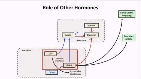 Diabetes medication, diabetes awareness, healthy lifestyle tips,